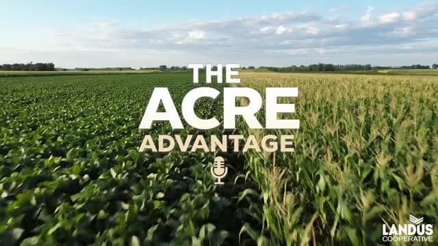 Staying Ahead of Waterhemp and Ragweed
