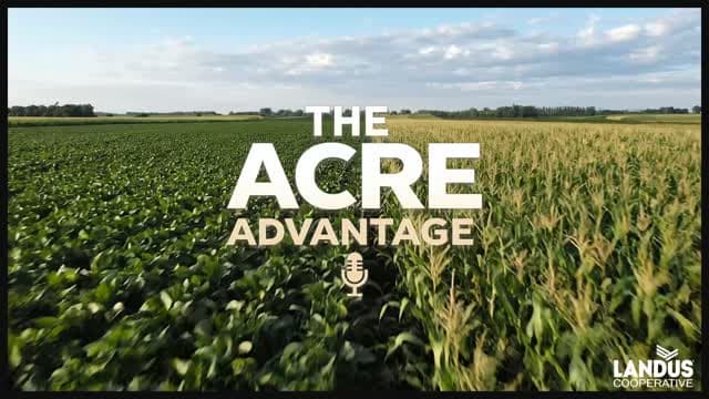 What Stalk Health Is Telling You Before Harvest